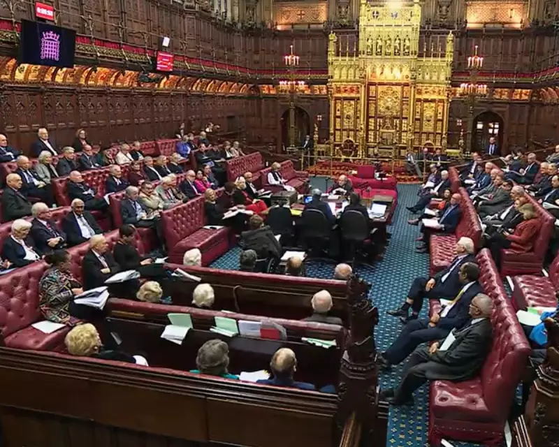 Mothers Fleeing Abuse Face 7-Year Prison Terms Under New UK Law