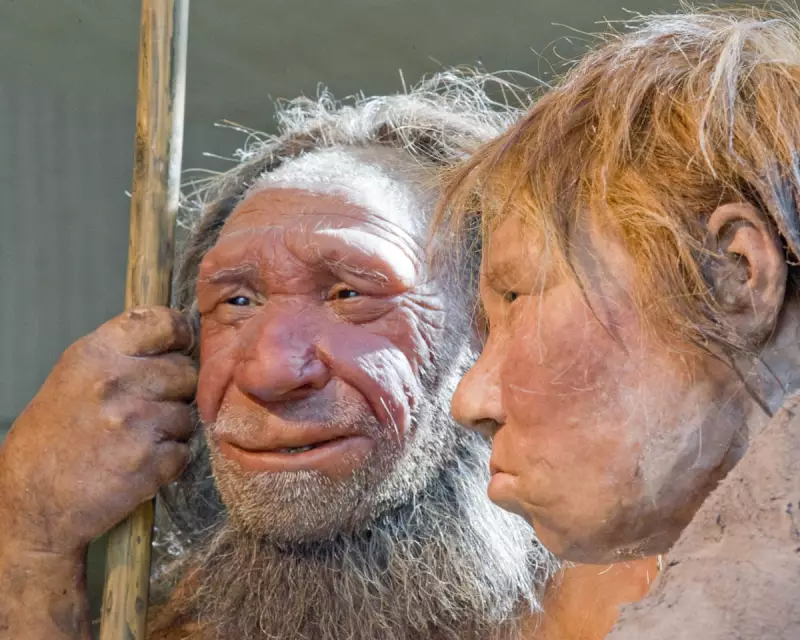 Neanderthals and Early Humans Shared Intimate Kisses, Study Reveals