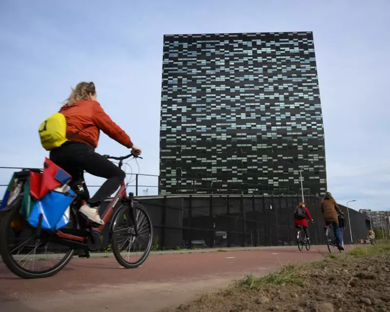 Netherlands Suspends Nexperia Seizure in Chip Dispute Resolution