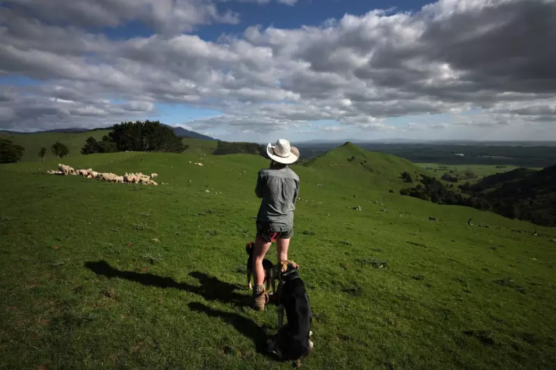 New Zealand's Young Farmers Face Land Ownership Crisis