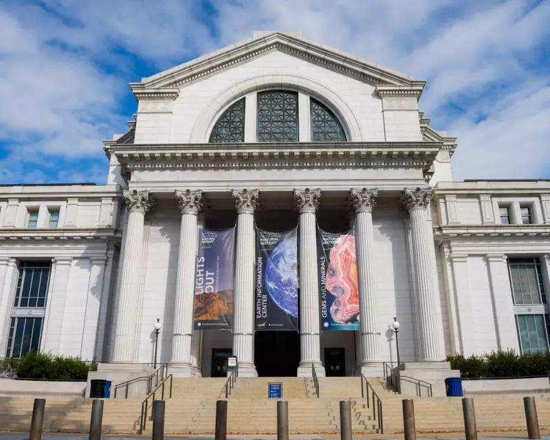 One-Third of US Museums Lost Government Funding Under Trump