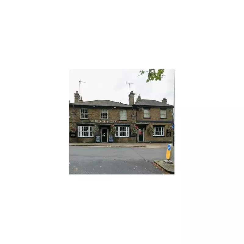 Over 2,300 Fight to Save 18th Century Black Horse Pub in North London