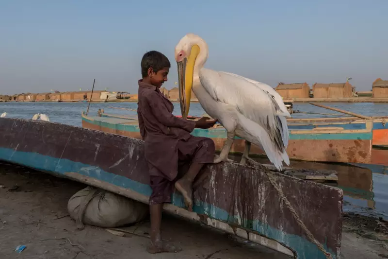 Pakistan's Mohana: A Dying Culture as Lake Manchar Turns Toxic