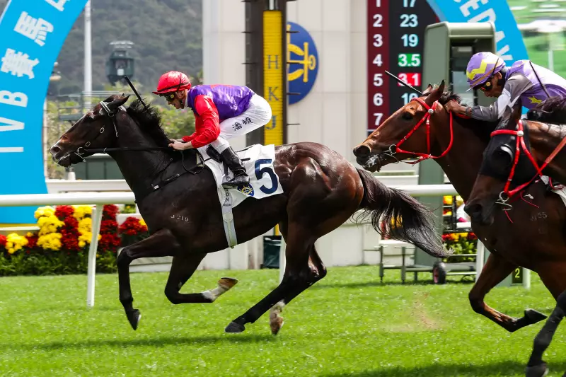 Purton & Hayes Target Happy Valley Wins With Chateauneuf & Excellence Value