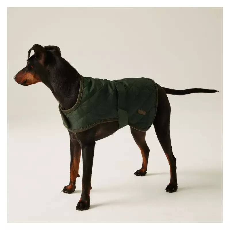 Regatta's Black Friday Dog Coats from £7.50 with 50% Off