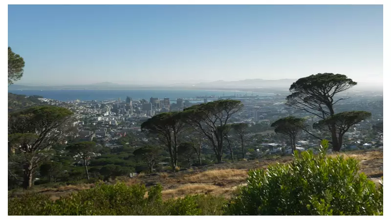 South Africa's Historic G20 Summit Faces Boycotts and Indigenous Exclusion