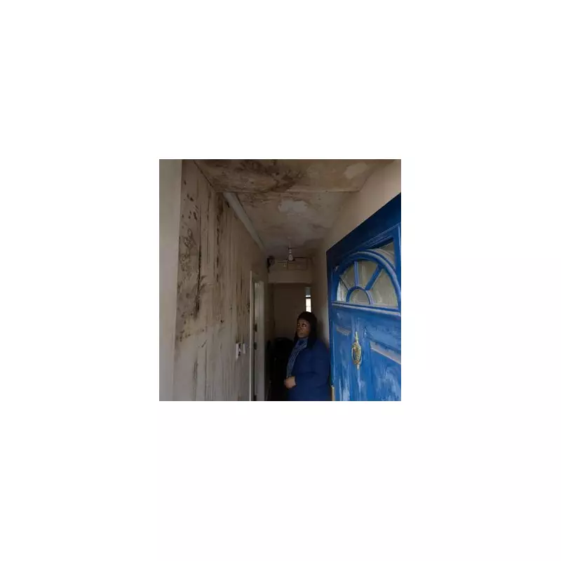 South London mum trapped in mouldy council flat for 17 years