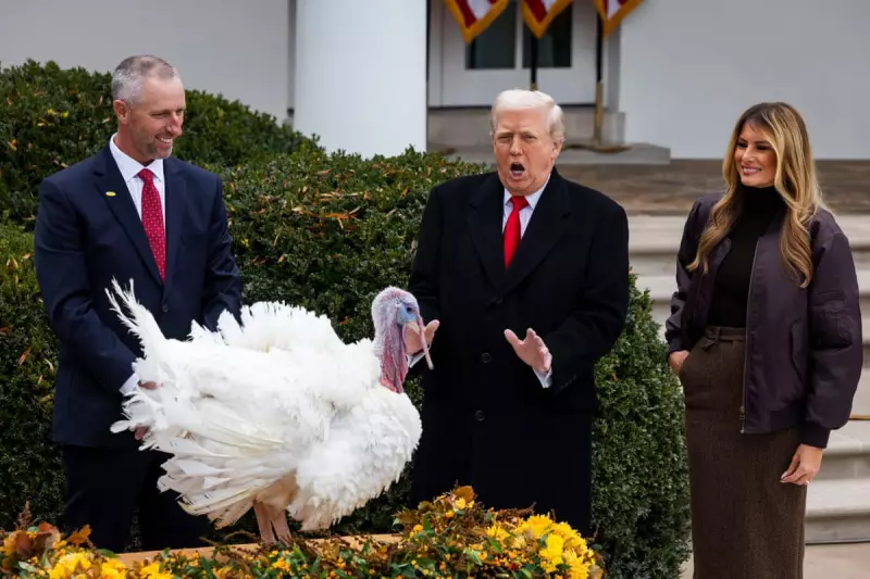 Trump's Turkey Pardon Chaos: Jokes, Insults and Tradition Trashed