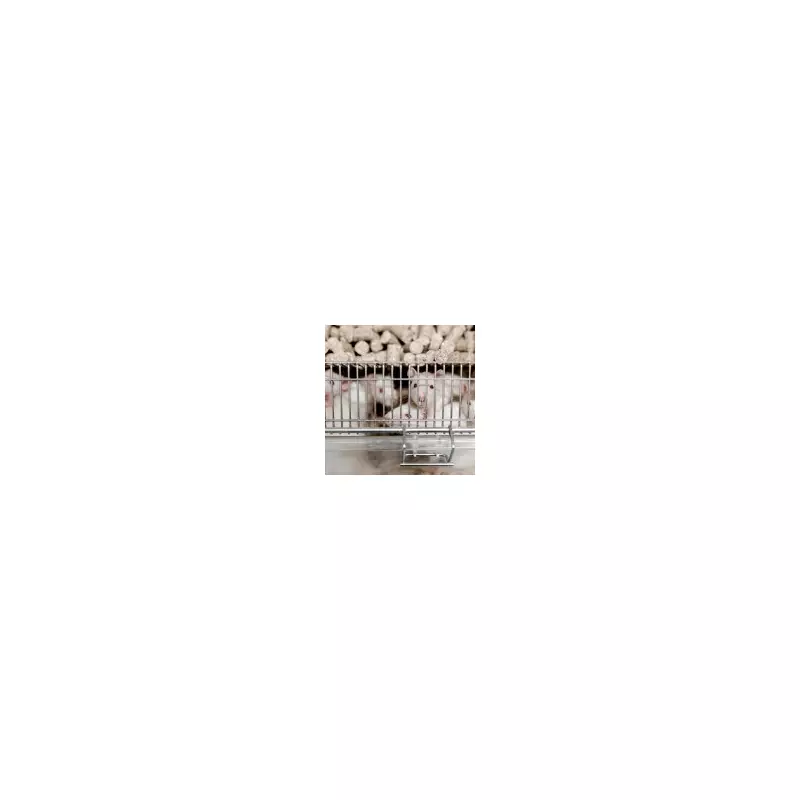 UK to Phase Out Animal Testing with Microchip Organs by 2030