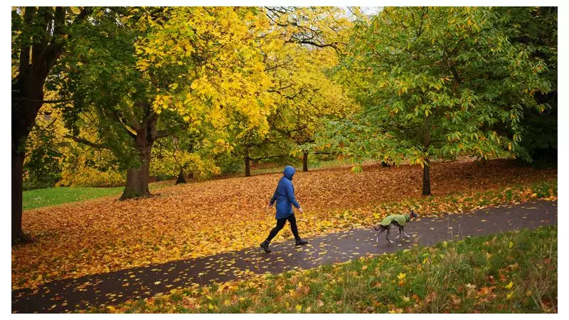 UK Weather Set to Soar: Unseasonal Warm Spell Brings Spring-like Sunshine