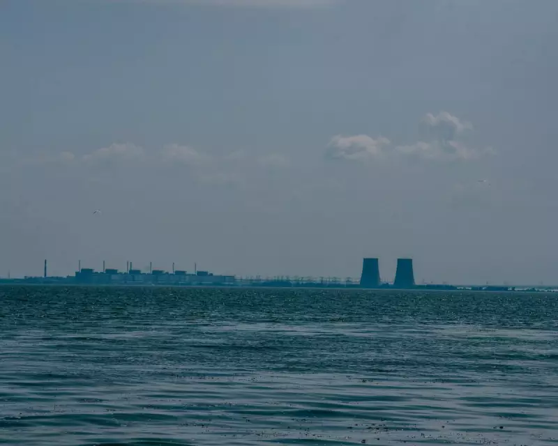 Ukraine's $100m Nuclear Energy Corruption Scandal: Zelenskyy Ally Implicated