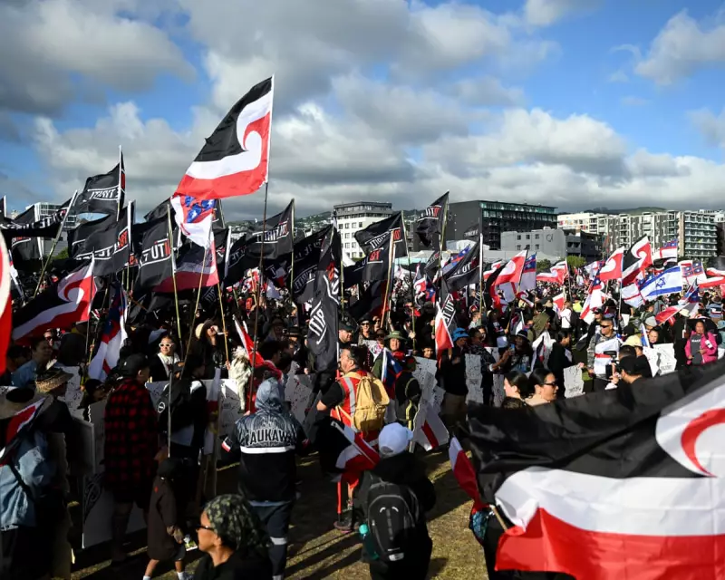 UN to Hear Urgent Māori Rights Complaint Against New Zealand
