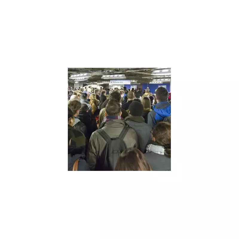 Victoria Line Suspended: Severe Delays After Track Casualty