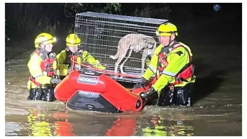 Wales Flooding Emergency: Major Incident Declared as Hundreds Evacuated