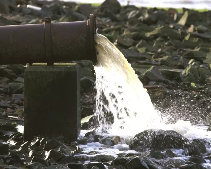 Wessex Water Fined £11m for Sewage Failures by Ofwat Regulator