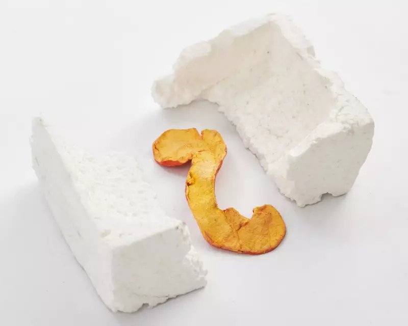 Why Artists Create Perfect Replicas of Rubbish That Fool Gallery Cleaners