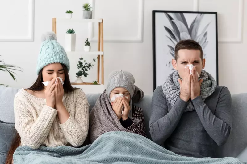 Winter Wellness: How Manuka Doctor Honey Fights Colds Naturally