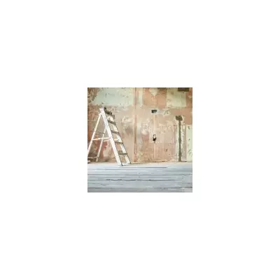 Fixer-Upper Frenzy: Why 'Project' Properties Are Selling Faster Than Ever