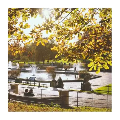 London Heatwave Alert: BBC Forecast Reveals 5 Days of Scorching 28°C Sunshine