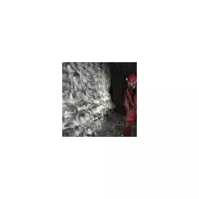 Nightmare in Silk: World's Largest Spider Web Discovered in Cave