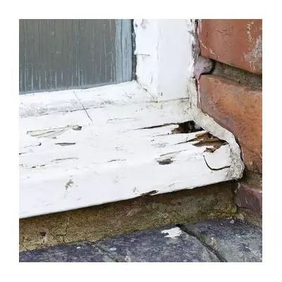 North London Council Under Fire as Residents Endure Winter Without Proper Windows