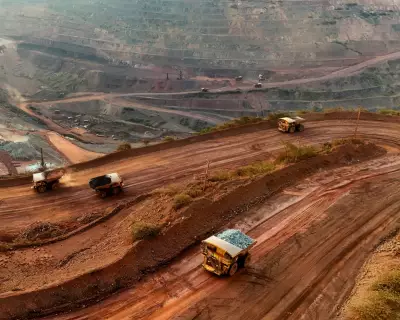 UK Abandons Key Amazon Protection Fund in Major Environmental Policy Shift