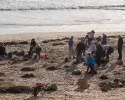 15 South Coast Sewage Plants Use Risky Plastic Beads After Camber Spill