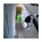 £200 Langoustine Heist at Chelsea Michelin Restaurant