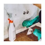 65p Salt Hack to Stop Mould in Your Home This Winter