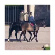 Andrew Windsor Spotted Horse Riding Amid Epstein Investigation Pressure