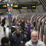Animal on Tracks Halts Two London Tube Lines, Causing Major Delays