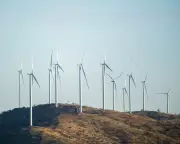 Australian Coalition Splits Over Net Zero as Neo-Nazi Rally Disrupts NSW