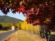 Australian MPs Slam Regional Speed Limit Cuts to 70-90km/h