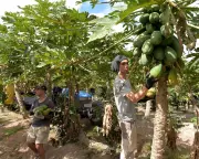 Beyond Travel: The Financial Reality of Gap Years for UK Students