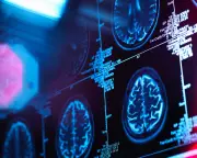 Brain Has 5 Key Life Stages, Adult Mode Starts at 32