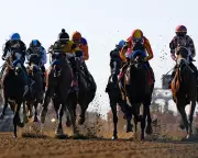 Breeders' Cup 2025 Crowns New Champions in Thrilling Day Two Showdown