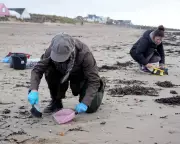 Camber Sands Plastic Bead Spill: 650 Million Toxic Beads Pollute Sussex Coast