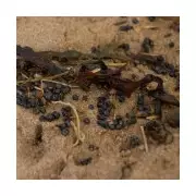 Camber Sands Plastic Bead Spill: Dog Choking Hazard Warning