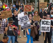 Charlotte Reels as Border Patrol Arrests 81 in Unprecedented Immigration Raids