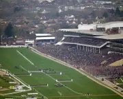 Cheltenham's November Meeting: The True Start of Jump Racing Season