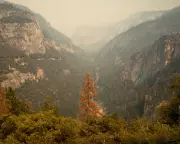 Climate Crisis Personal Stories: How Americans Are Living With Change