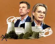 Coalition's Secret Net Zero Strategy Sparks Climate Policy Debate