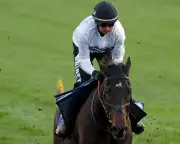 Constitution Hill's Fighting Fifth Return After Punchestown Setback