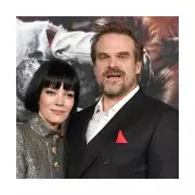 David Harbour Opens Up: The Painful Truth Behind His Split from Lily Allen and Her Infidelity Claims