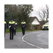 Five Young Adults Killed in Devastating Co Louth Car Crash