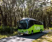 FlixBus Shakes Up Australian Transport with £8 Fares and Expansion Plans