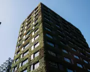 Global Green Building Demand Slows as Trump Policies Hit US Market