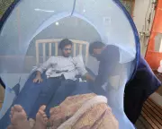 Global Health at Risk: Aid Cuts Threaten to Reverse Decades of Progress Against Neglected Tropical Diseases