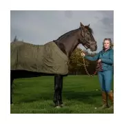 Horse breeder 'paranoid' after council noise complaint over foals