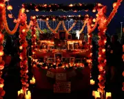 ICE Halloween Raids in Chicago: Federal Agents Target Immigrant Communities During Celebrations